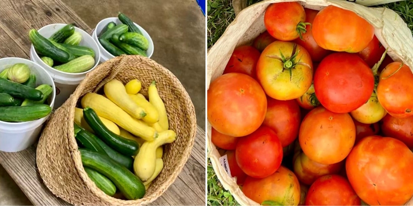 REF vegetables