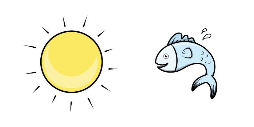 Vitamin D
