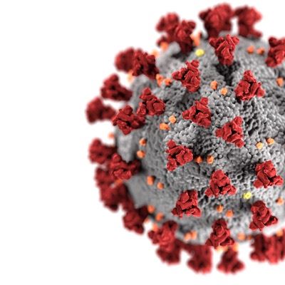 COVID virus