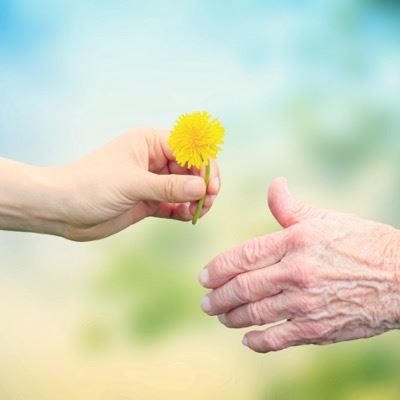 person passing a flower