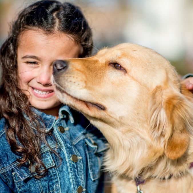 dog safety